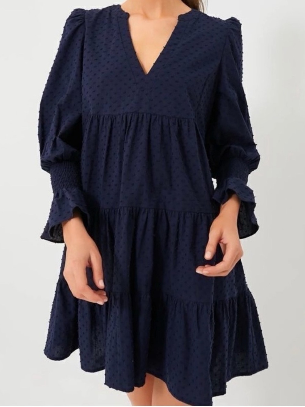 Tuckernuck Pomander Place Women’s Navy Blue Swiss Dot Kenzo Dress